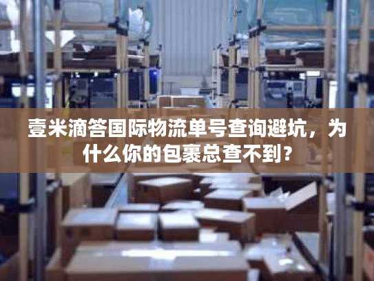 壹米滴答国际物流单号查询避坑，为什么你的包裹总查不到？