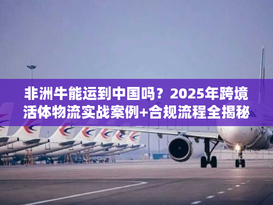 非洲牛能运到中国吗？2025年跨境活体物流实战案例+合规流程全揭秘