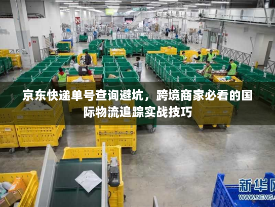 京东快递单号查询避坑，跨境商家必看的国际物流追踪实战技巧