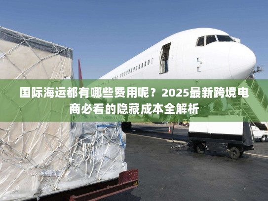 国际海运都有哪些费用呢？2025最新跨境电商必看的隐藏成本全解析