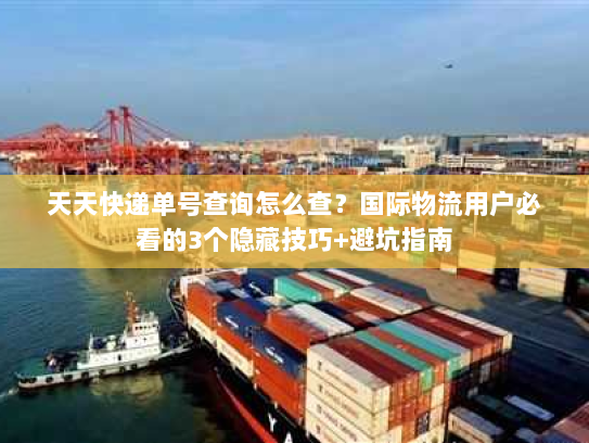 天天快递单号查询怎么查？国际物流用户必看的3个隐藏技巧+避坑指南