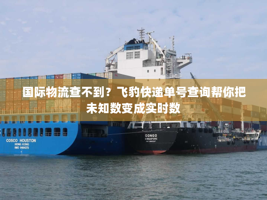 国际物流查不到？飞豹快递单号查询帮你把未知数变成实时数