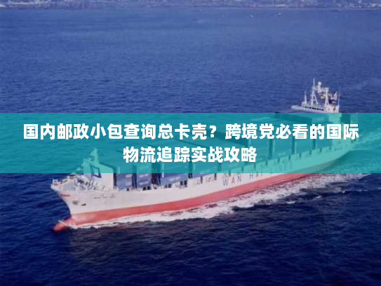 国内邮政小包查询总卡壳？跨境党必看的国际物流追踪实战攻略