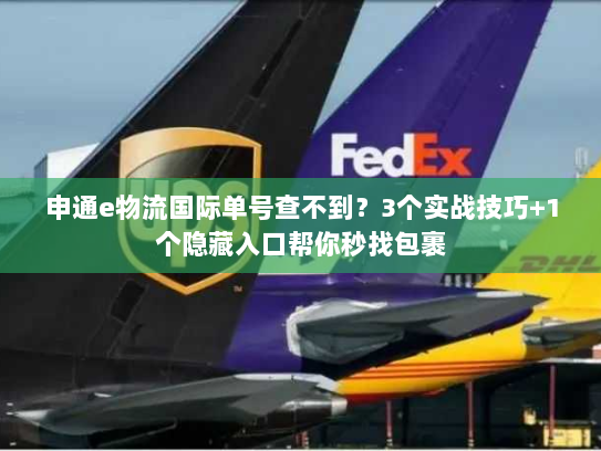 申通e物流国际单号查不到？3个实战技巧+1个隐藏入口帮你秒找包裹