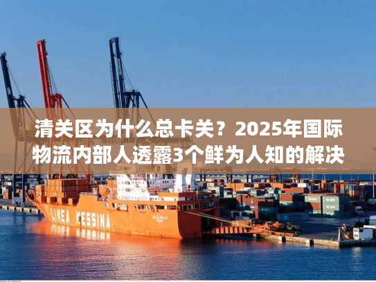 清关区为什么总卡关？2025年国际物流内部人透露3个鲜为人知的解决办法
