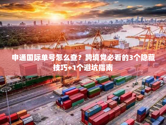 申通国际单号怎么查？跨境党必看的3个隐藏技巧+1个避坑指南