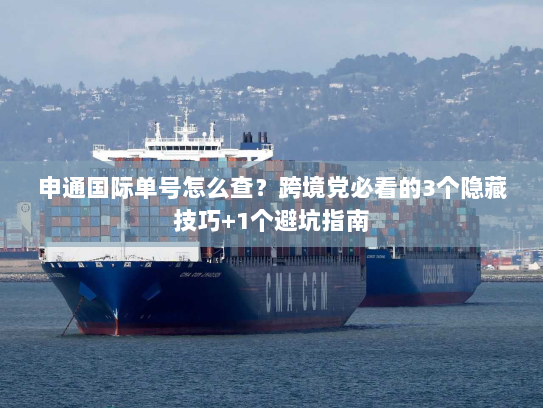 申通国际单号怎么查？跨境党必看的3个隐藏技巧+1个避坑指南