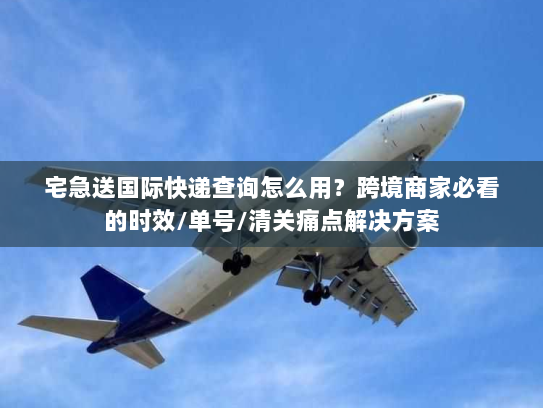 宅急送国际快递查询怎么用？跨境商家必看的时效/单号/清关痛点解决方案