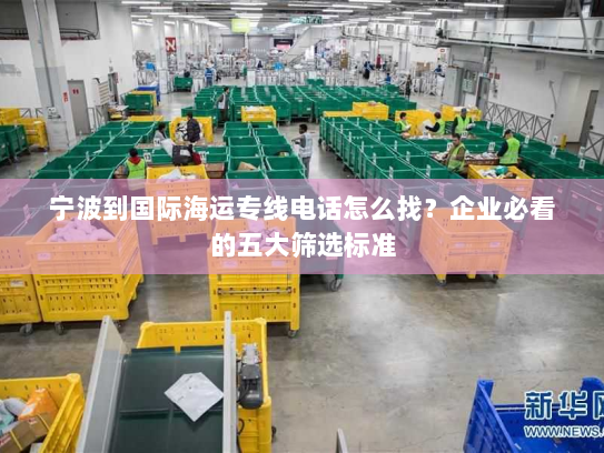 宁波到国际海运专线电话怎么找？企业必看的五大筛选标准