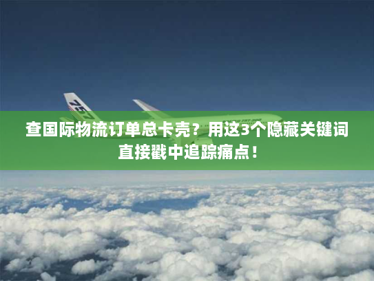 查国际物流订单总卡壳？用这3个隐藏关键词直接戳中追踪痛点！