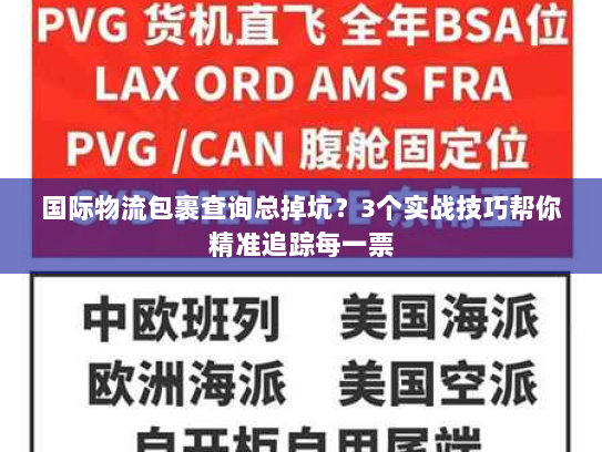 国际物流包裹查询总掉坑？3个实战技巧帮你精准追踪每一票