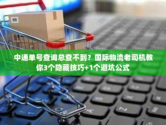 中通单号查询总查不到？国际物流老司机教你3个隐藏技巧+1个避坑公式