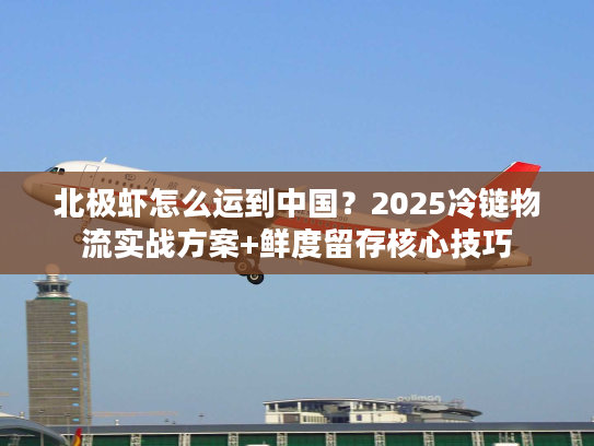 北极虾怎么运到中国？2025冷链物流实战方案+鲜度留存核心技巧