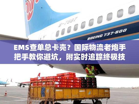 EMS查单总卡壳?国际物流老炮手把手教你避坑,附实时追踪终极技巧 EMS查单总卡壳?国际物流老炮手把手教你避坑,附实时追踪终极技巧