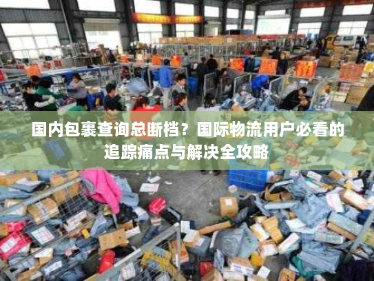 国内包裹查询总断档？国际物流用户必看的追踪痛点与解决全攻略