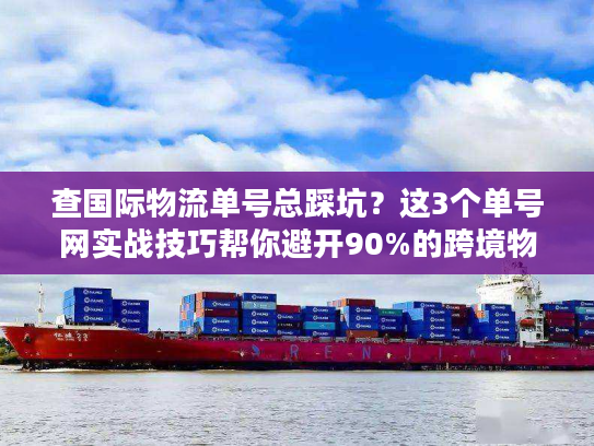 查国际物流单号总踩坑？这3个单号网实战技巧帮你避开90%的跨境物流雷区