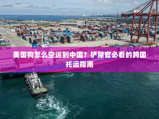 美国狗怎么空运到中国？铲屎官必看的跨国托运指南