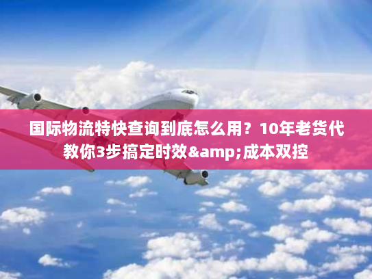 国际物流特快查询到底怎么用？10年老货代教你3步搞定时效&成本双控