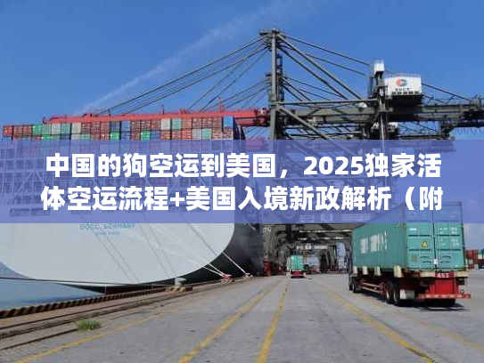 中国的狗空运到美国，2025独家活体空运流程+美国入境新政解析（附真实案例）
