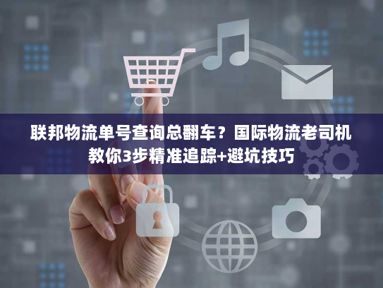 联邦物流单号查询总翻车？国际物流老司机教你3步精准追踪+避坑技巧