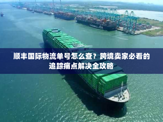 顺丰国际物流单号怎么查？跨境卖家必看的追踪痛点解决全攻略