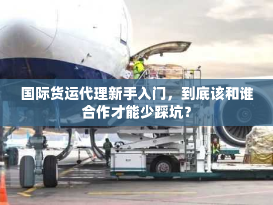 国际货运代理新手入门，到底该和谁合作才能少踩坑？