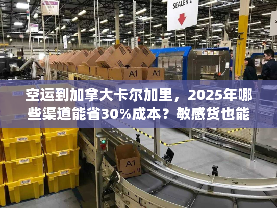 空运到加拿大卡尔加里，2025年哪些渠道能省30%成本？敏感货也能飞？