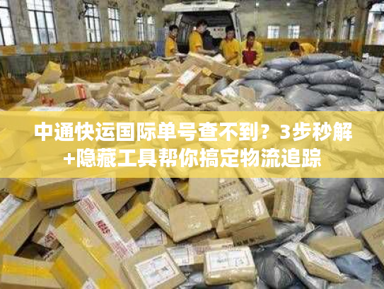 中通快运国际单号查不到?3步秒解+隐藏工具帮你搞定物流追踪 中通快运国际单号查不到?3步秒解+隐藏工具帮你搞定物流追踪