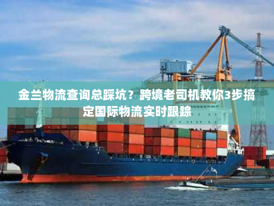 金兰物流查询总踩坑？跨境老司机教你3步搞定国际物流实时跟踪