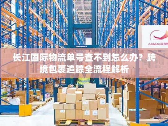 长江国际物流单号查不到怎么办？跨境包裹追踪全流程解析