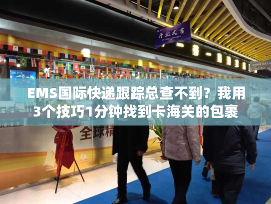 EMS国际快递跟踪总查不到？我用3个技巧1分钟找到卡海关的包裹