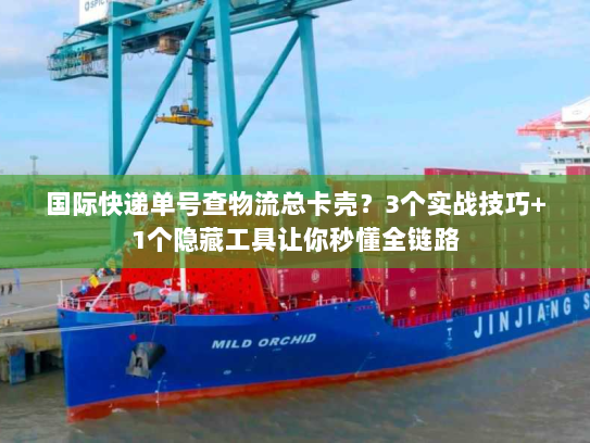 国际快递单号查物流总卡壳?3个实战技巧+1个隐藏工具让你秒懂全链路 国际快递单号查物流总卡壳?3个实战技巧+1个隐藏工具让你秒懂全链路