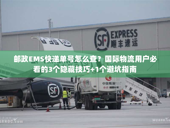 邮政EMS快递单号怎么查？国际物流用户必看的3个隐藏技巧+1个避坑指南