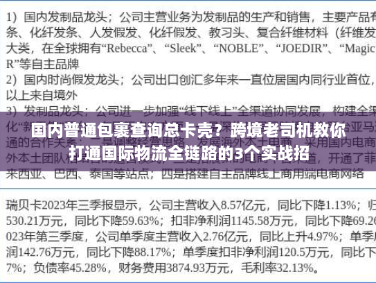 国内普通包裹查询总卡壳？跨境老司机教你打通国际物流全链路的3个实战招