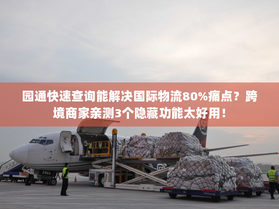 园通快速查询能解决国际物流80%痛点？跨境商家亲测3个隐藏功能太好用！