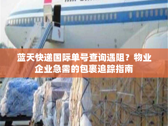 蓝天快递国际单号查询遇阻？物业企业急需的包裹追踪指南