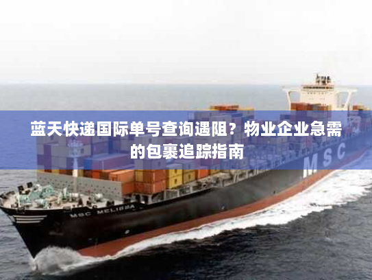 蓝天快递国际单号查询遇阻?物业企业急需的包裹追踪指南 蓝天快递国际单号查询遇阻?物业企业急需的包裹追踪指南