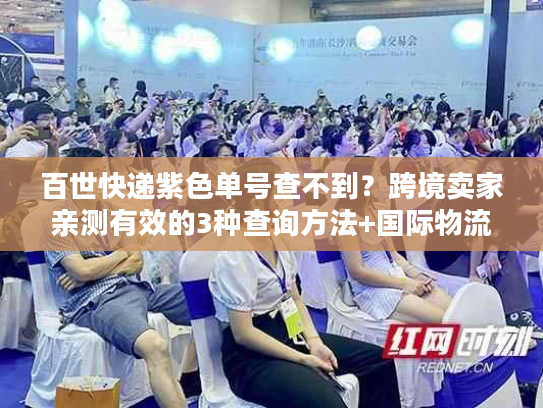 百世快递紫色单号查不到？跨境卖家亲测有效的3种查询方法+国际物流避坑技巧