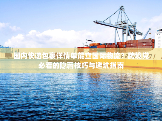 国内快递包裹详情单能查国际物流？跨境党必看的隐藏技巧与避坑指南