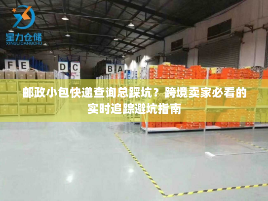 邮政小包快递查询总踩坑？跨境卖家必看的实时追踪避坑指南