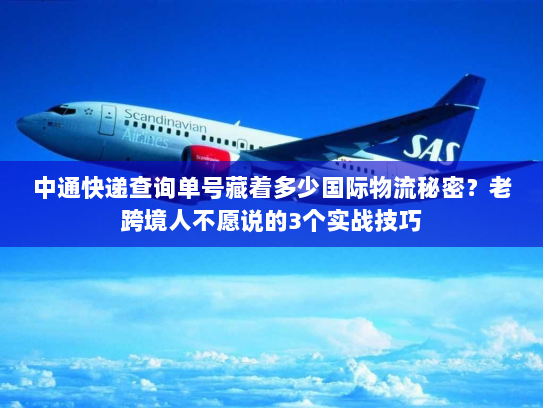 中通快递查询单号藏着多少国际物流秘密？老跨境人不愿说的3个实战技巧