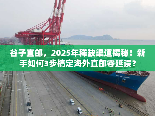 谷子直邮，2025年稀缺渠道揭秘！新手如何3步搞定海外直邮零延误？