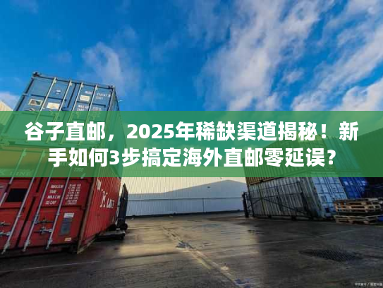 谷子直邮，2025年稀缺渠道揭秘！新手如何3步搞定海外直邮零延误？