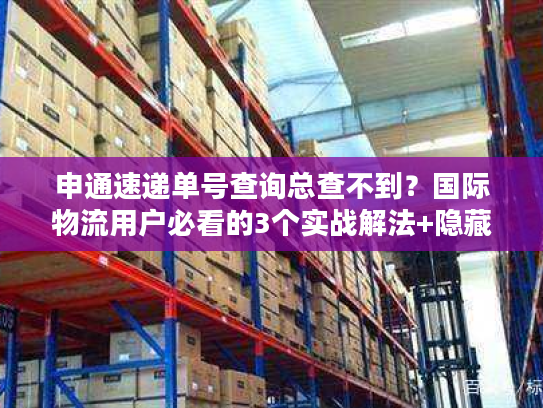 申通速递单号查询总查不到？国际物流用户必看的3个实战解法+隐藏技巧