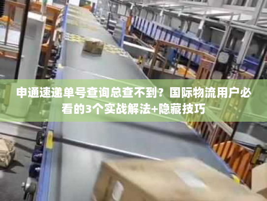 申通速递单号查询总查不到？国际物流用户必看的3个实战解法+隐藏技巧