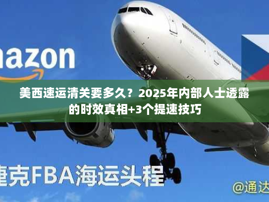 美西速运清关要多久？2025年内部人士透露的时效真相+3个提速技巧