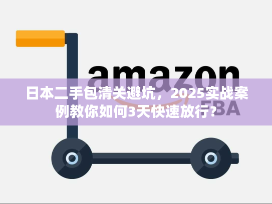 日本二手包清关避坑，2025实战案例教你如何3天快速放行？