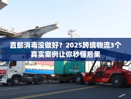 直邮消毒没做好？2025跨境物流3个真实案例让你秒懂后果