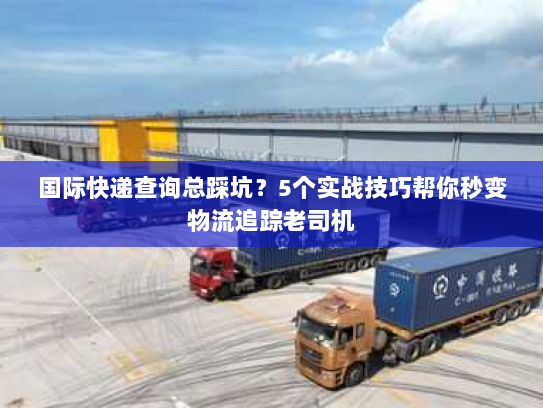 国际快递查询总踩坑？5个实战技巧帮你秒变物流追踪老司机
