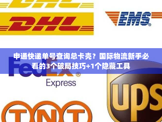 申通快递单号查询总卡壳？国际物流新手必看的3个破局技巧+1个隐藏工具